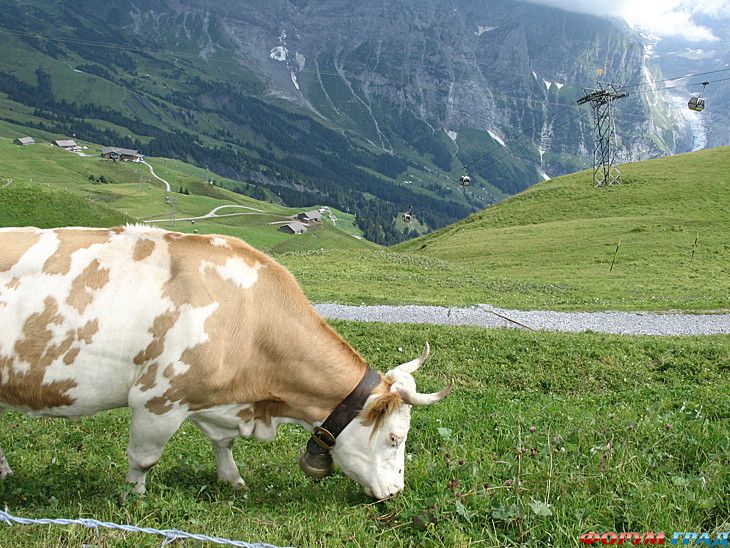 куда поехать отдыхать