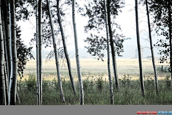 куда поехать отдыхать