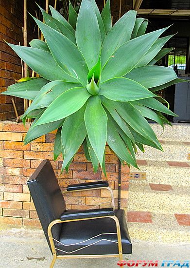 куда поехать отдыхать