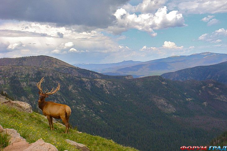 куда поехать отдыхать