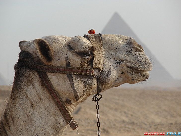 куда поехать отдыхать