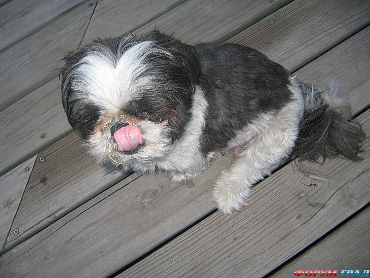 куда поехать отдыхать