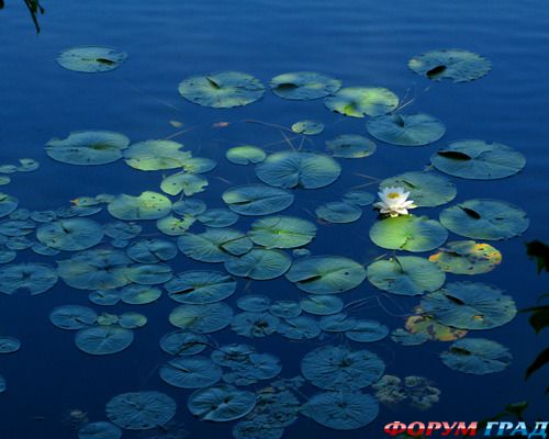 куда поехать отдыхать