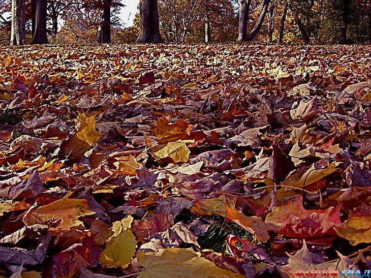 куда поехать отдыхать