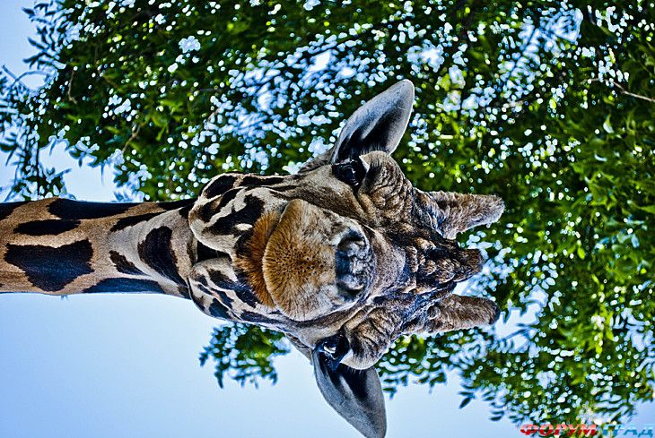 куда поехать отдыхать