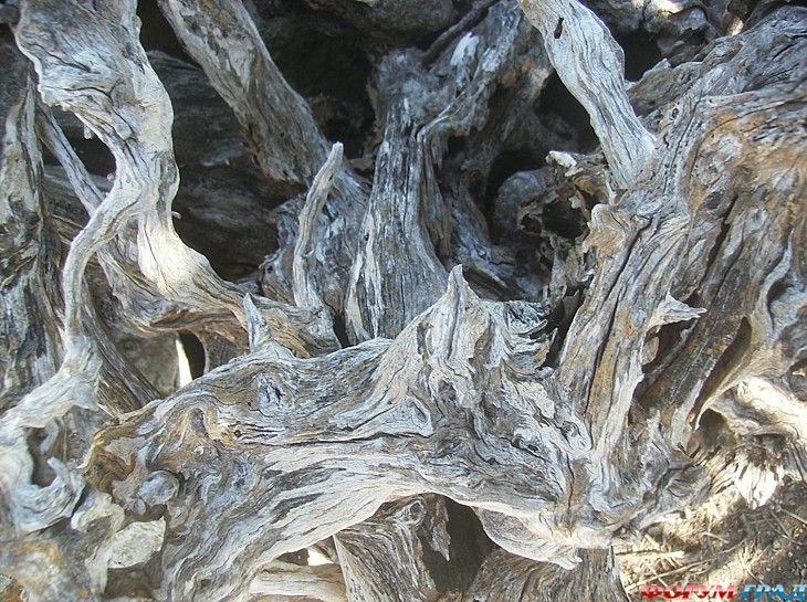 куда поехать отдыхать