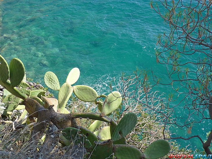 куда поехать отдыхать