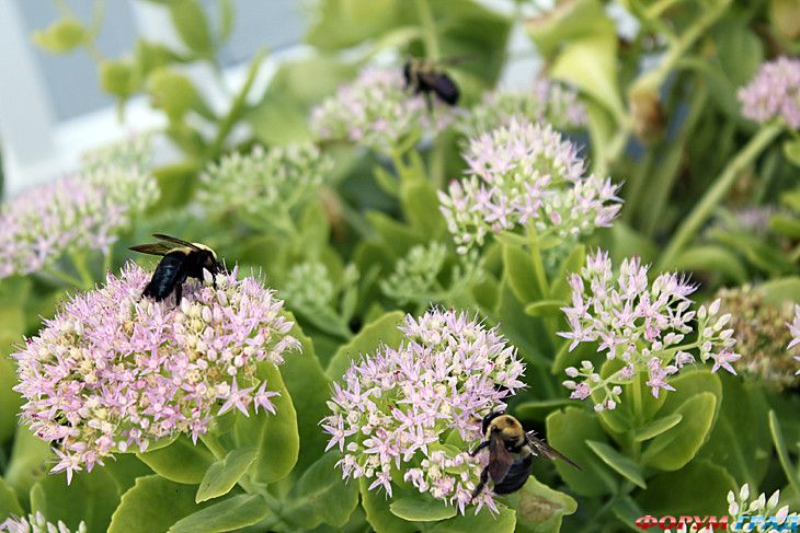 куда поехать отдыхать