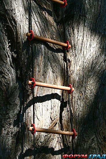 куда поехать отдыхать