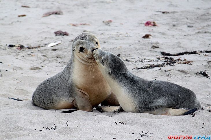 куда поехать отдыхать
