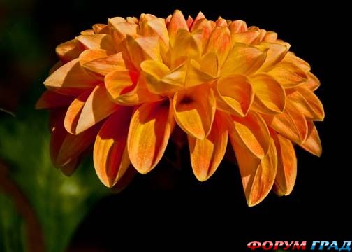 куда поехать отдыхать