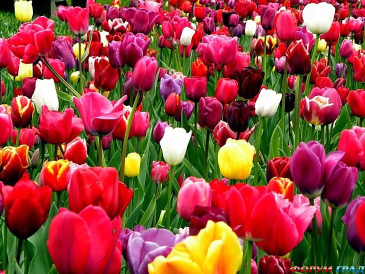 куда поехать отдыхать