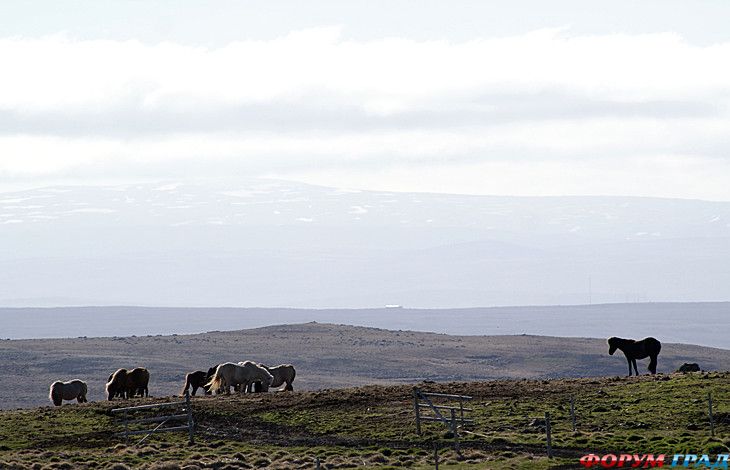 куда поехать отдыхать