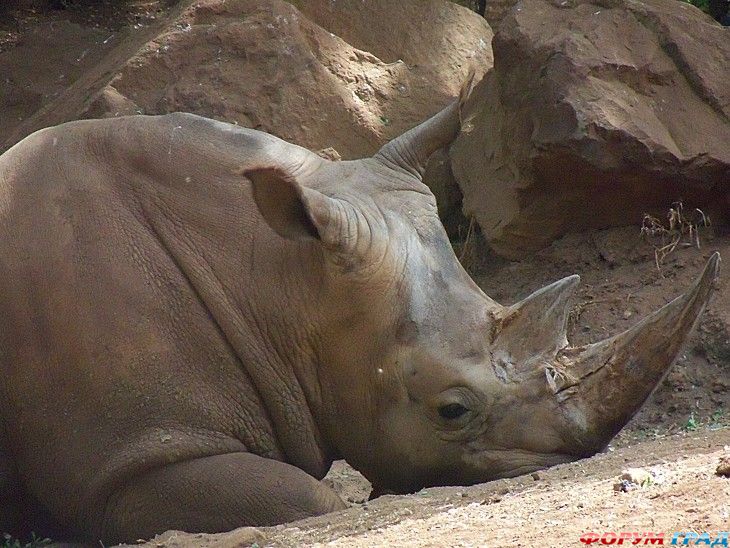 куда поехать отдыхать