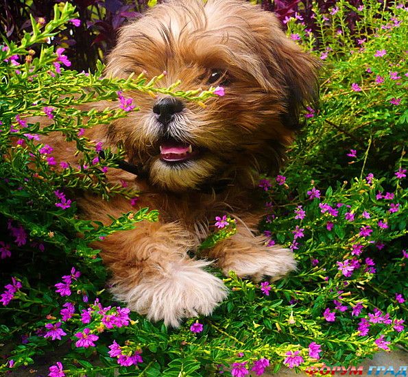 куда поехать отдыхать