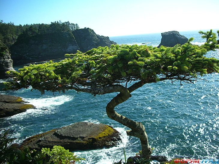 куда поехать отдыхать