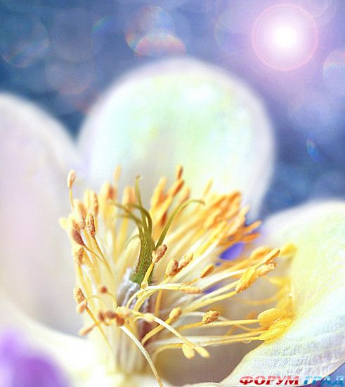 куда поехать отдыхать