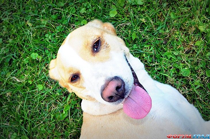 куда поехать отдыхать