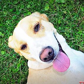 куда поехать отдыхать