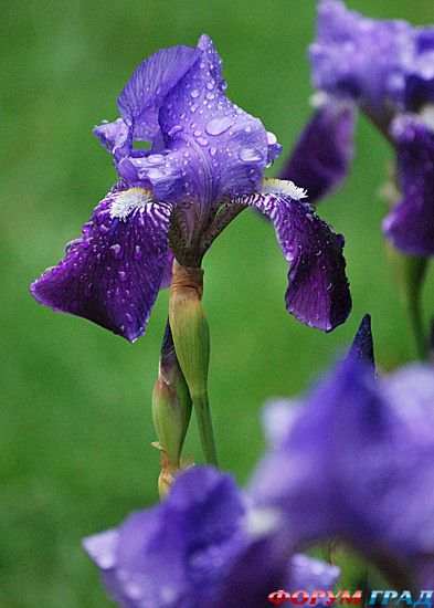 куда поехать отдыхать