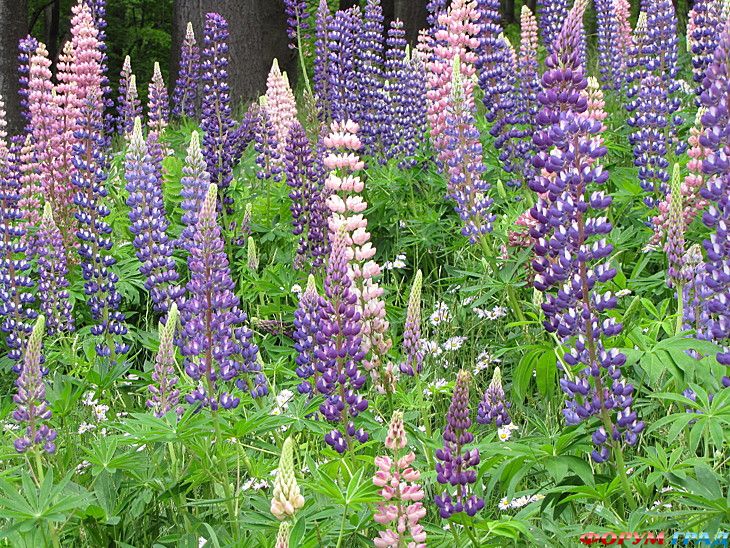 куда поехать отдыхать