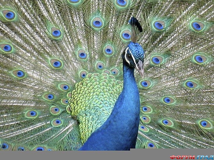 куда поехать отдыхать