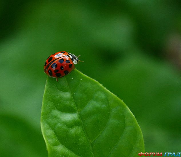 куда поехать отдыхать
