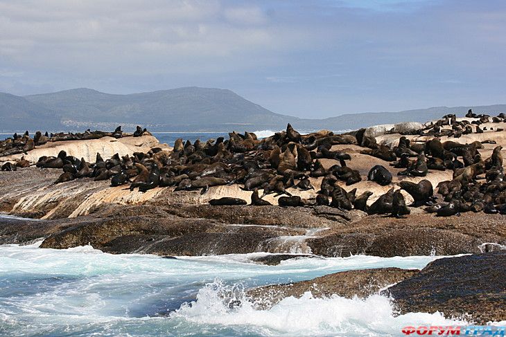 куда поехать отдыхать