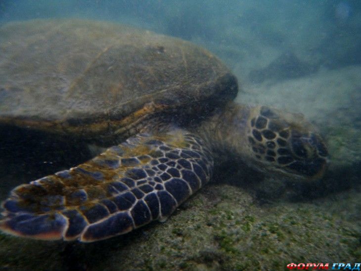 куда поехать отдыхать