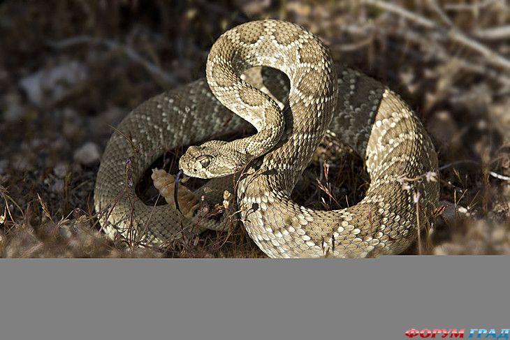 куда поехать отдыхать