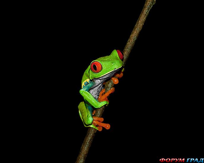 куда поехать отдыхать