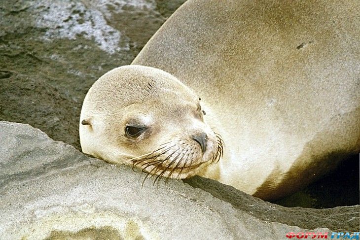 куда поехать отдыхать