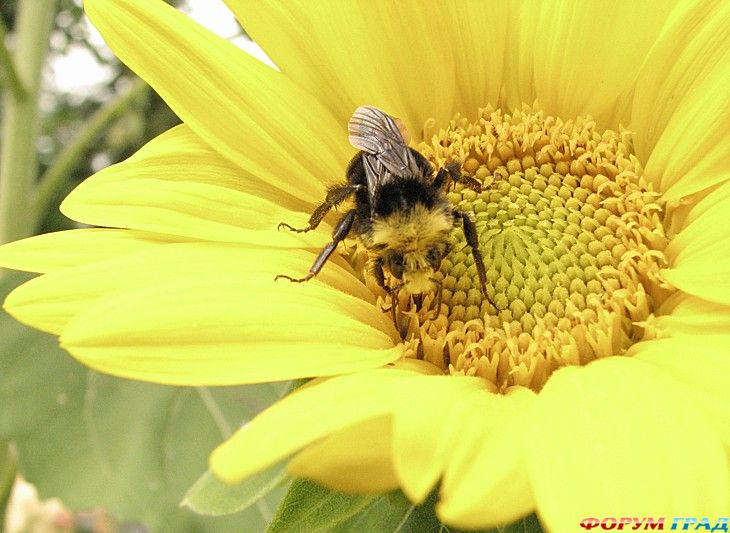 куда поехать отдыхать