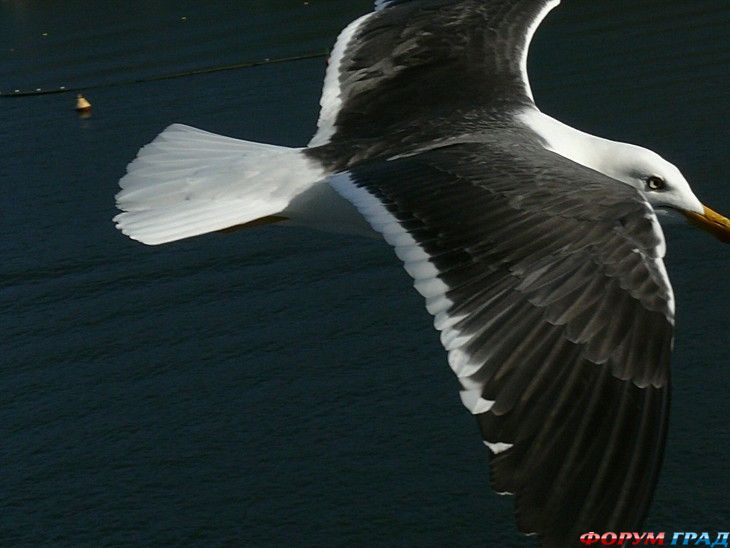 куда поехать отдыхать