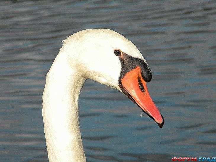 куда поехать отдыхать