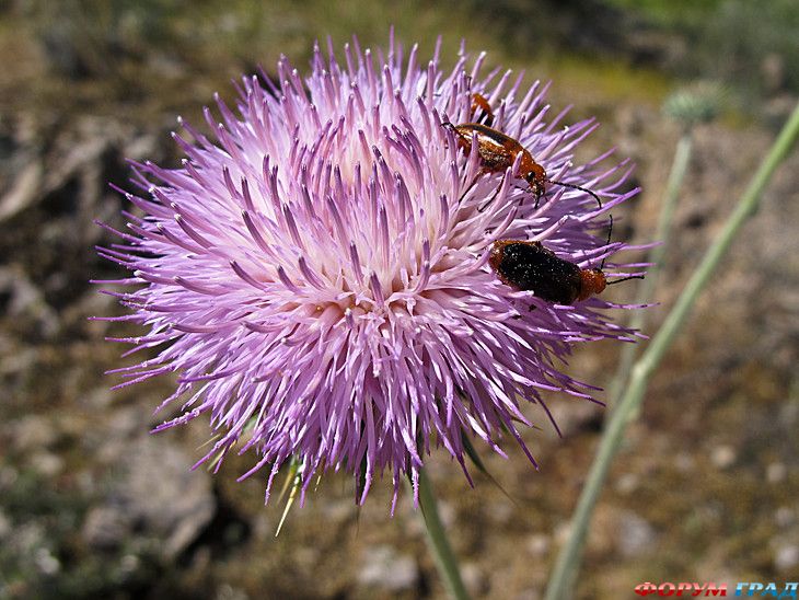 куда поехать отдыхать