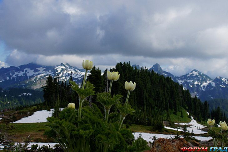 куда поехать отдыхать