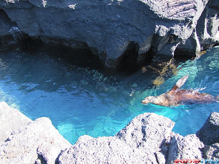 куда поехать отдыхать