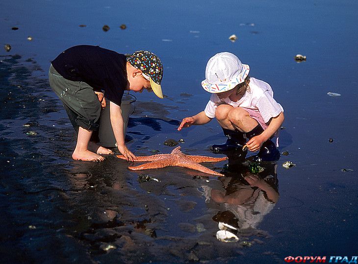 куда поехать отдыхать