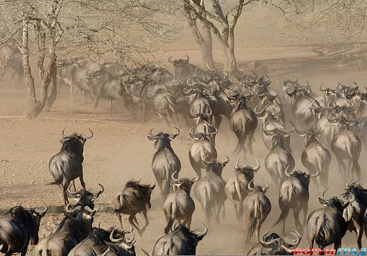 куда поехать отдыхать