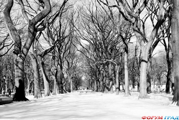 куда поехать отдыхать