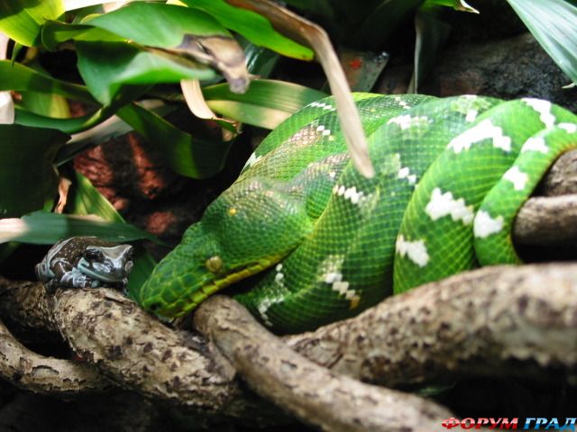 куда поехать отдыхать