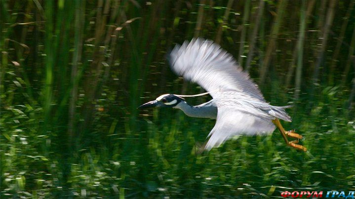 куда поехать отдыхать