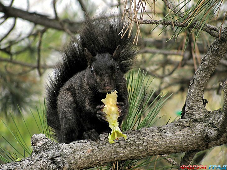 куда поехать отдыхать