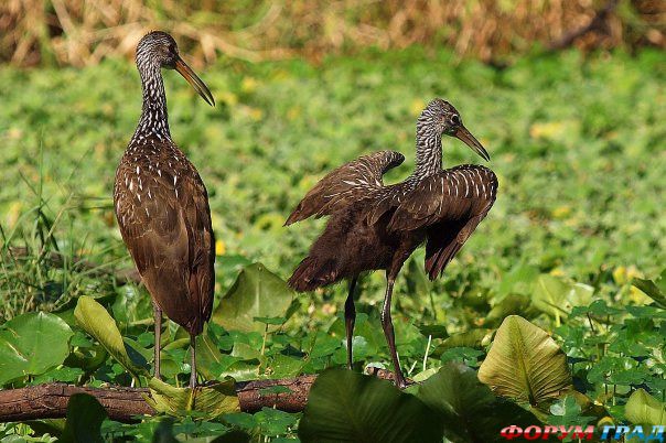 куда поехать отдыхать