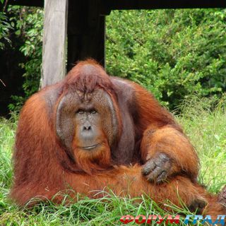 куда поехать отдыхать