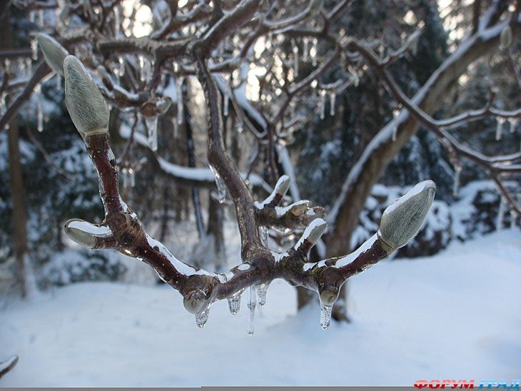 куда поехать отдыхать