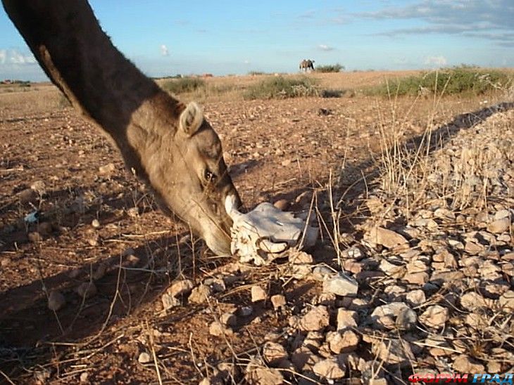 куда поехать отдыхать