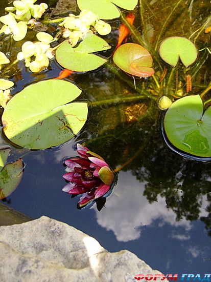 куда поехать отдыхать