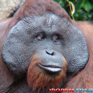 куда поехать отдыхать